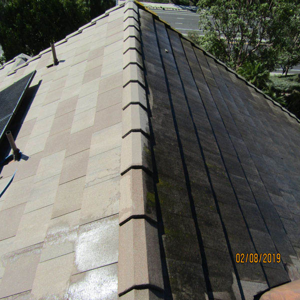 Roof Cleaning Slate Tile